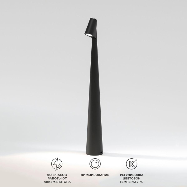 Настольная лампа Elektrostandard Elite TL70250 a068070