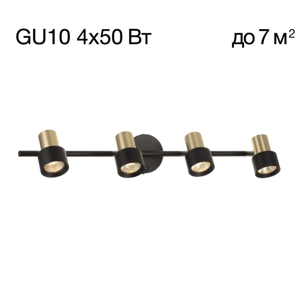 Спот поворотный Citilux SAT CL505641
