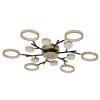 Потолочный светодиодный светильник F-Promo Hybrid 4686-13C