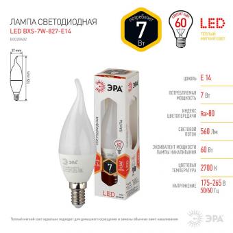 Лампа светодиодная ЭРА E14 7W 2700K матовая LED BXS-7W-827-E14