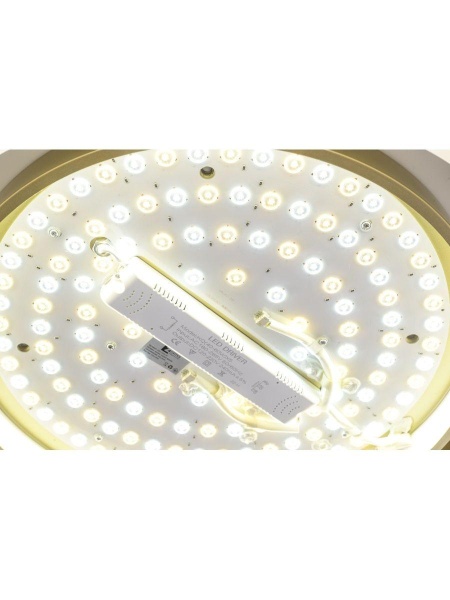 Потолочный светодиодный светильник Zortes Adel ZRS.1200.01