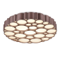 Потолочный светильник Vele Luce Bible VL7156L01