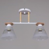Потолочная люстра Reluce 01630-0.3-02 WH+WOOD