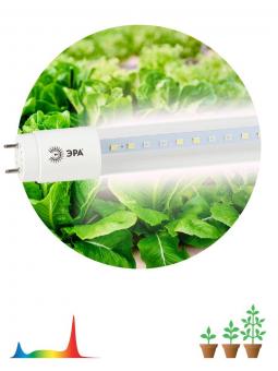 Лампа светодиодная для растений ЭРА G13 18W 1200K прозрачная XGYT8B104-E18 F