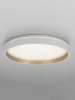 Светильник потолочный Citilux ENZO CL753450G