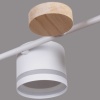 Люстра Reluce 68730-0.3-06 GX53 WH+WOOD