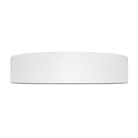 Потолочный светильник Loft it Coin 10202 WB