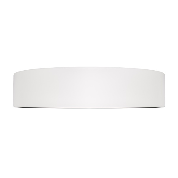Потолочный светильник Loft it Coin 10202 WB