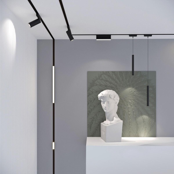 Трековый светодиодный светильник Elektrostandard Flat Magnetic Unity 85093/01 черный a063710 Трековый светодиодный светильник Elektrostandard Flat Magnetic Unity 85093/01 черный a063710