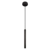 Подвесной светильник Loft IT Everest 10583D Black