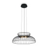 Подвесной светодиодный светильник Freya Citrus FR5398PL-L6B