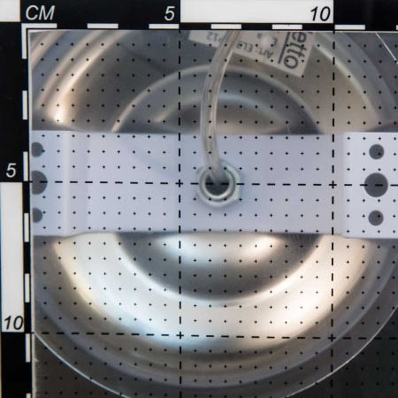 Подвесная светодиодная люстра Citilux Montserrat EL338P05