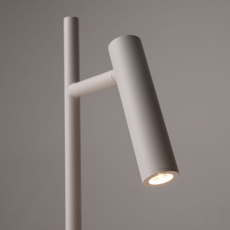 Торшер Maytoni Estudo Z010FL-L8W3K