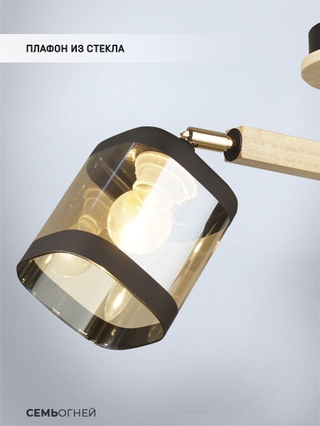 Потолочная люстра Seven Fires Kaleri WD3506/3C-BK-AM