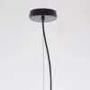 Подвесная люстра Imperium Loft Peo A D50 232560-23
