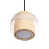 Подвесной светильник Loft IT Colette 10474P/B