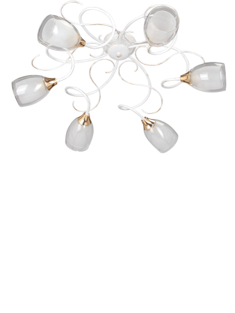 Потолочная люстра Vitaluce V3261/6PL