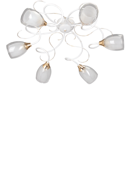 Потолочная люстра Vitaluce V3261/6PL