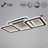 Потолочный светильник Reluce 00829-0.3-03 WD+BK