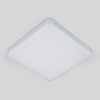 Потолочный светодиодный светильник Elektrostandard DLS043 10W 4200K a047941