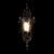 Уличный настенный светильник Loft IT Verona 100003W