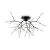 Потолочный светильник Freya Iris FR5067CL-27B