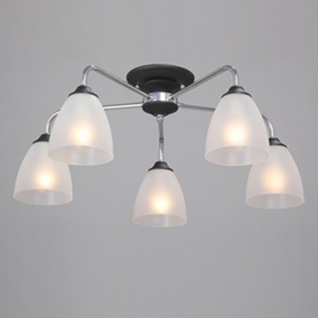 Потолочная люстра Vitaluce V3946-1/5PL