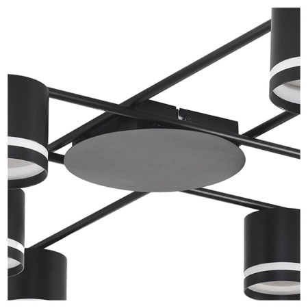 Потолочная люстра Lumion Berty Comfi 8362/8C