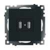 Розетка 2хUSB Stekker Катрин черный GLS10-7115-05 39616