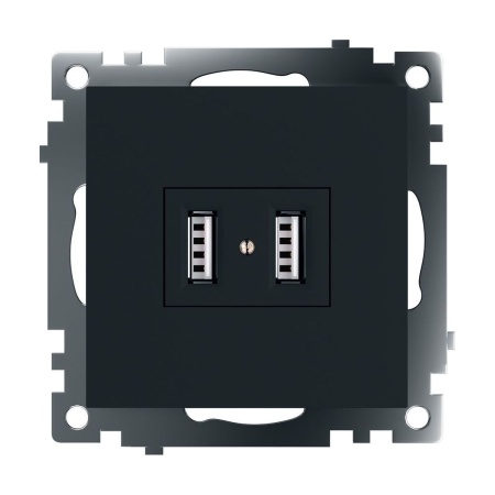 Розетка 2хUSB Stekker Катрин черный GLS10-7115-05 39616