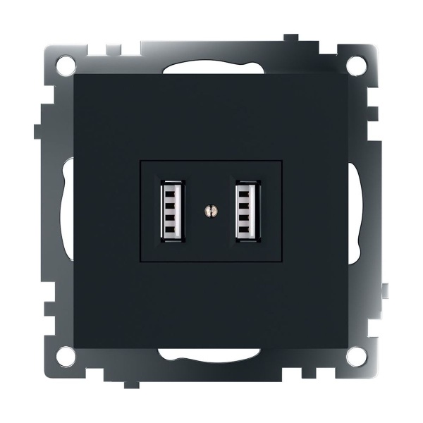 Розетка 2хUSB Stekker Катрин черный GLS10-7115-05 39616