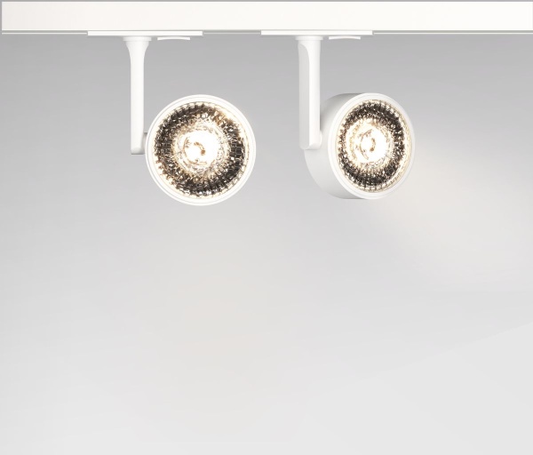 Трековый светодиодный светильник Maytoni Technical Unity Oko TR024-1-10W3K