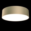 Потолочный светодиодный светильник Maytoni Technical Zon C032CL-L32MG4K
