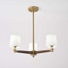 Подвесная люстра Imperium Loft Jorgenson D70 White/Dark Wood 203579-26