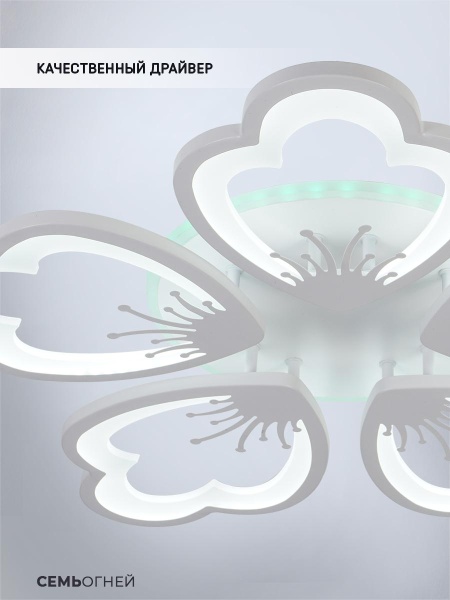 Потолочная светодиодная люстра Seven Fires Ferenk SF5028/5C-WT-RGB