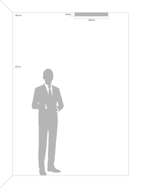 Бра Freya FR8016WL-01BBS