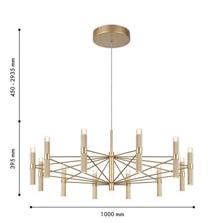 Подвесная светодиодная люстра Favourite Blick 4759-12P