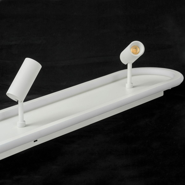 Светодиодный спот Lussole Harris LSP-7283 Светодиодный спот Lussole Harris LSP-7283