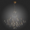 Подвесная люстра ST Luce Gravetta SL797.213.114
