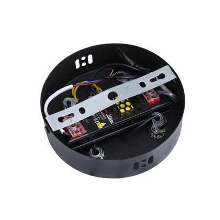 Люстра подвесная Lumion VINORA 8341/54L