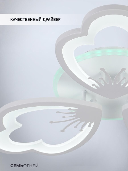 Потолочная светодиодная люстра Seven Fires Ferenk SF5028/3C-WT-RGB