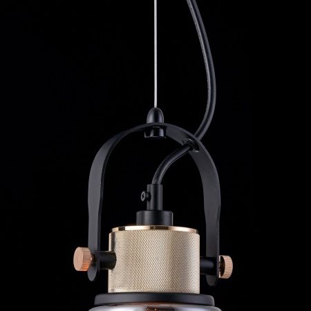 Подвесной светильник Maytoni Irving T163PL-01C