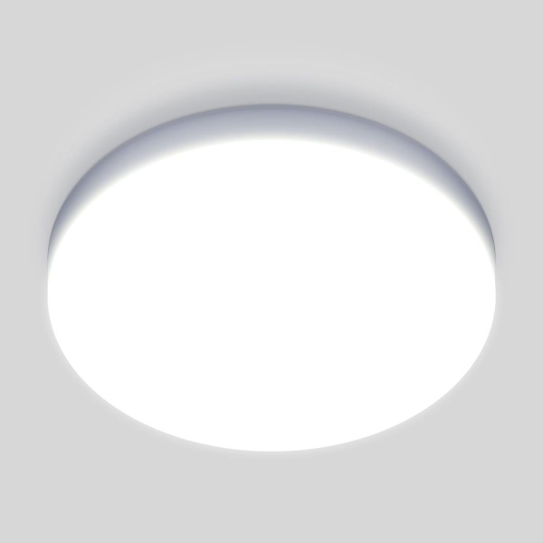 Потолочный светодиодный светильник Elektrostandard DLR043 10W 4200K a047940