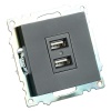 Розетка 2хUSB Stekker Катрин черный GLS10-7115-05 39616