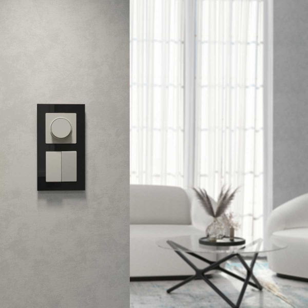 Выключатель двухклавишный (дымчатый) W1220004/ a069452