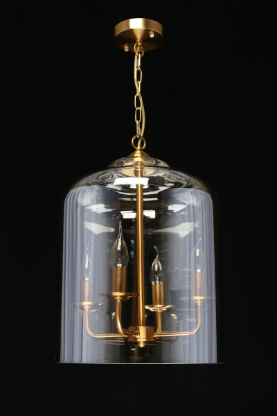 Подвесная люстра Aployt Polin APL.603.06.06