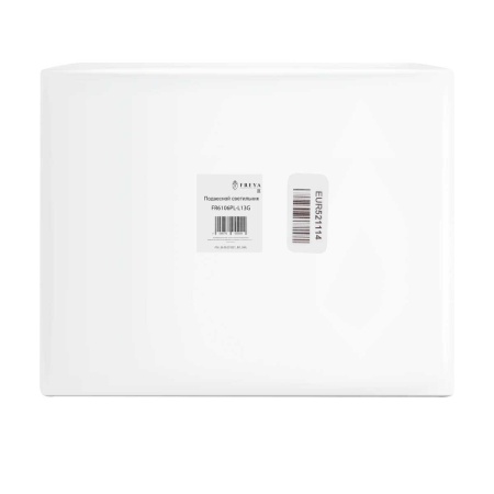 Подвесной светильник Freya Магнит / Magnet FR6106PL-L13G