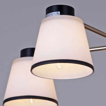 Потолочная люстра Reluce 30560-0.3-05 BK+FG