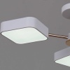 Светильник потолочный Reluce 03360-0.3-05 WH+FGD