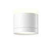 Потолочный светильник Maytoni Technical C120CL-GX53-W